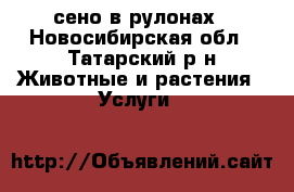 сено в рулонах - Новосибирская обл., Татарский р-н Животные и растения » Услуги   